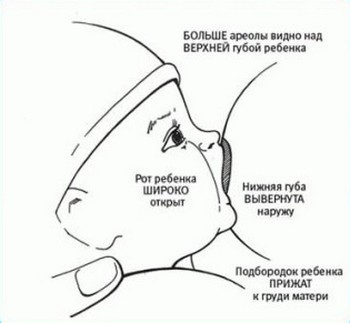Как правильно давать ребенку грудь
