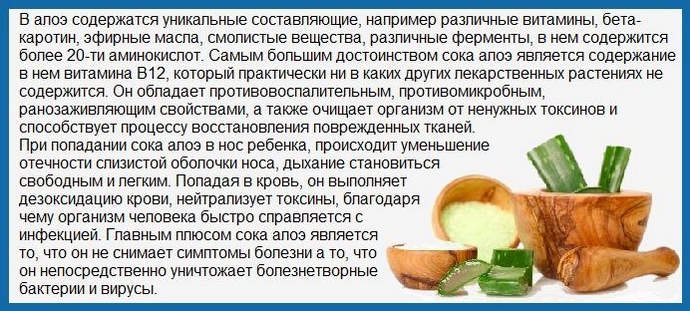 Польза алое