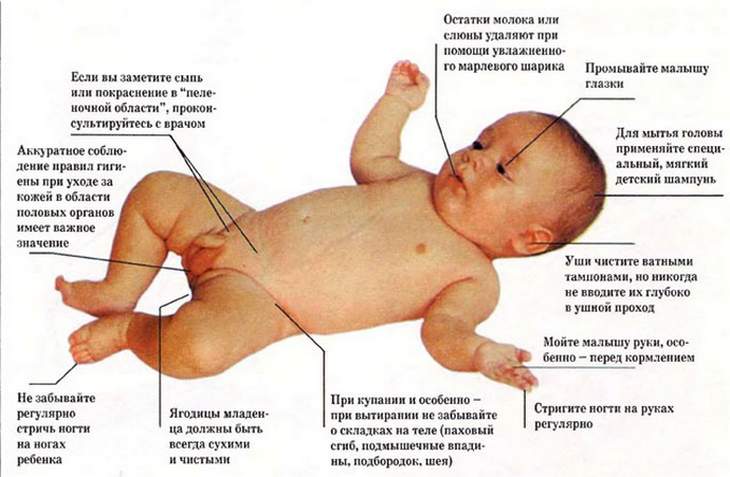 гигиена новорожденного 